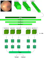 A CNN-LSTM Combination Network for Cataract Detection using Eye Fundus Images