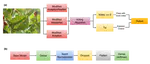 An Ensemble of Convolutional Neural Networks to Detect Foliar Diseases in Apple Plants